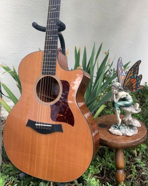 Lynda's guitar