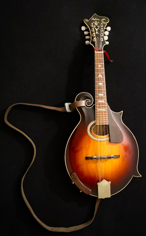 mandolin